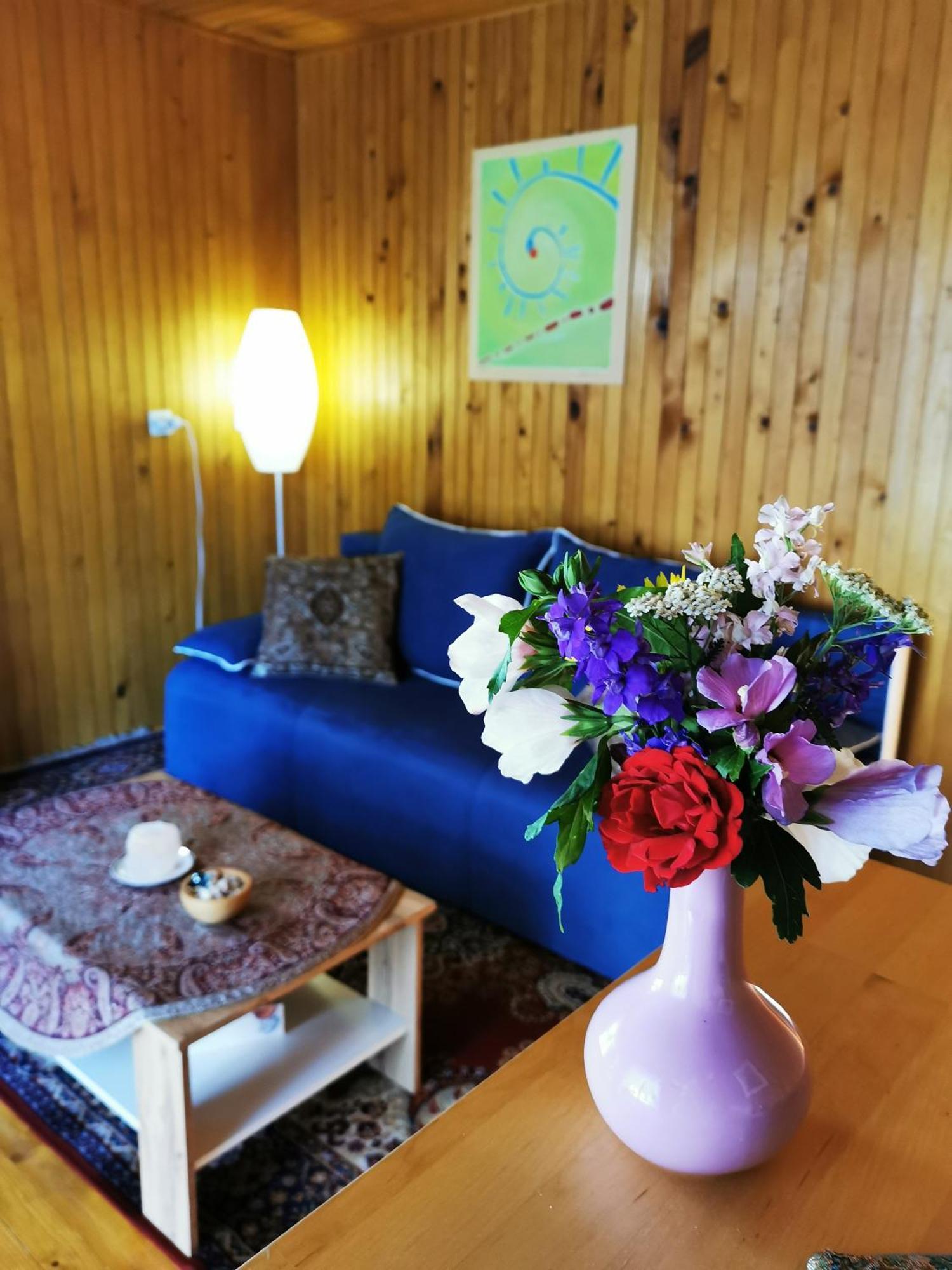 Merikotka - A Cozy Wooden Cottage, Slovenia Braslovce Екстер'єр фото
