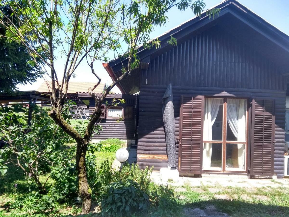Merikotka - A Cozy Wooden Cottage, Slovenia Braslovce Екстер'єр фото