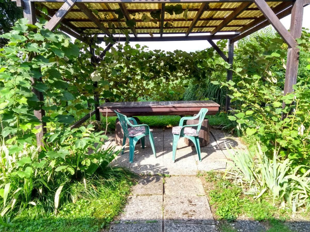Merikotka - A Cozy Wooden Cottage, Slovenia Braslovce Екстер'єр фото