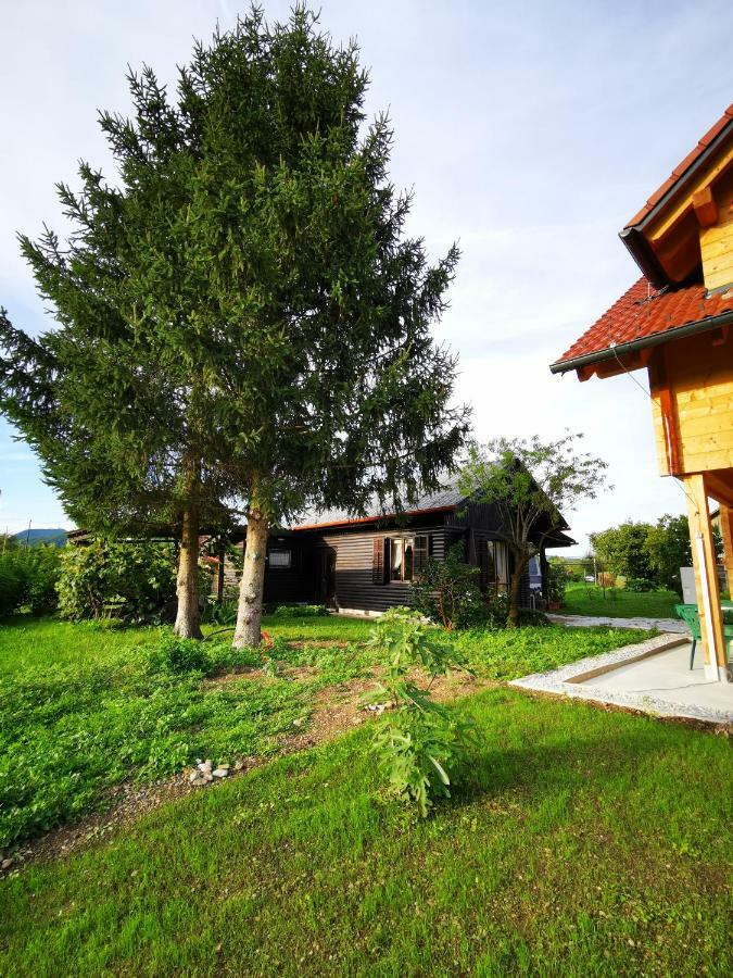 Merikotka - A Cozy Wooden Cottage, Slovenia Braslovce Екстер'єр фото